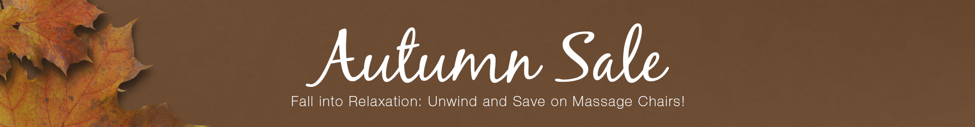 Promotional banner for an autumn sale with text and autumn leaves.template--16697554764022__dcd1bb1e-aeeb-4e0e-95d5-df31aeaedb17-16692442480d3c50b5-0